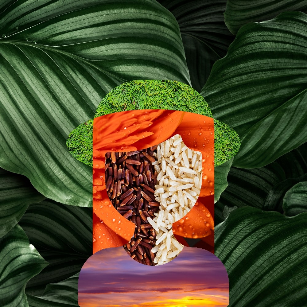 Collage of Myself #106 — Collage of Myself