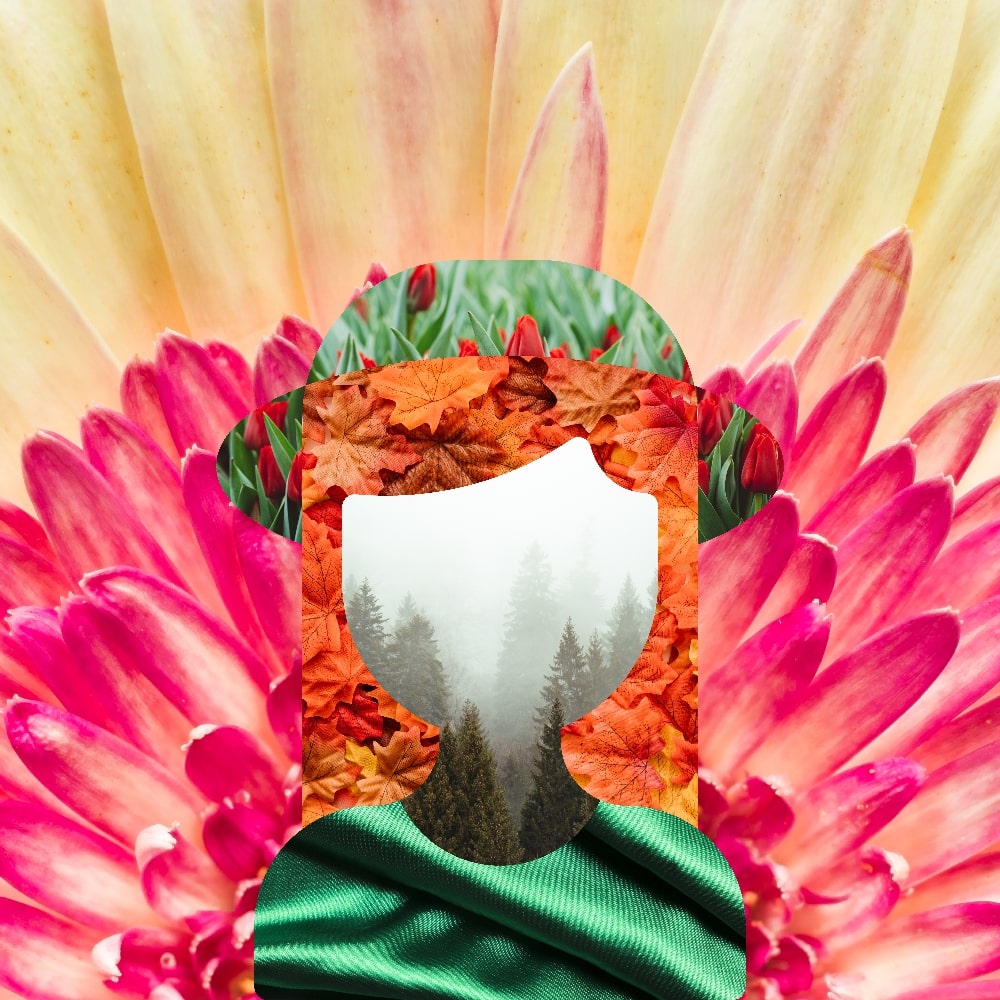 Collage of Myself #117 — Collage of Myself