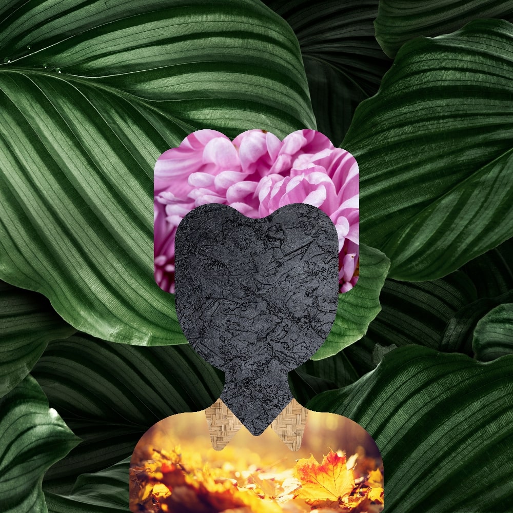 Collage of Myself #19 — Collage of Myself