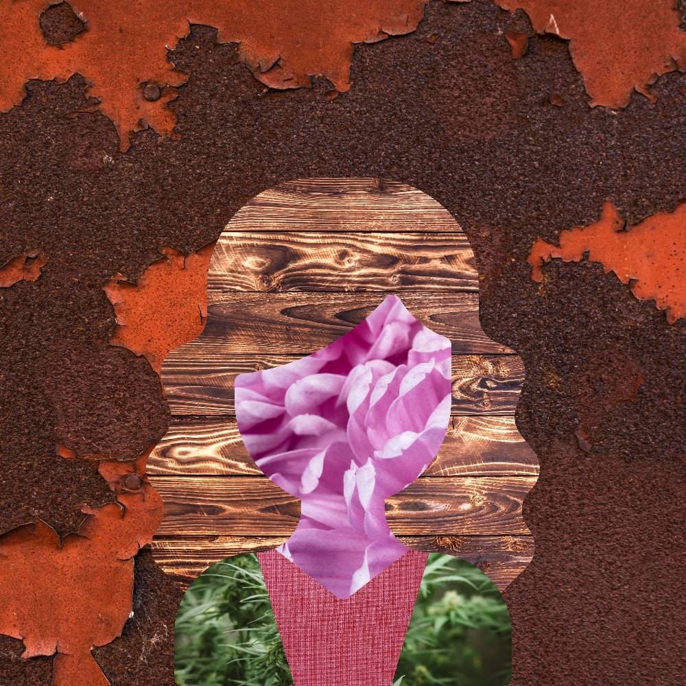 Collage of Myself #278 — Collage of Myself