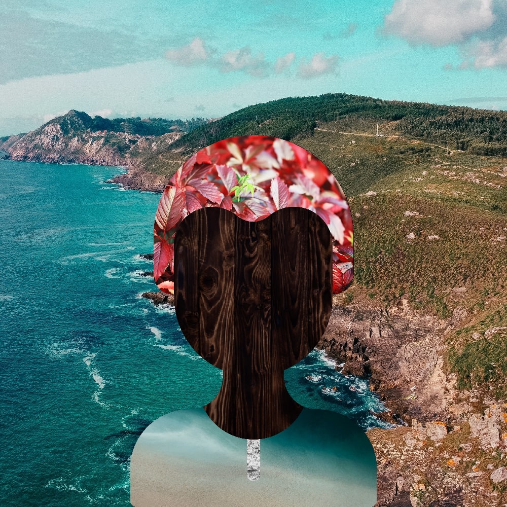 Collage of Myself #330 — Collage of Myself