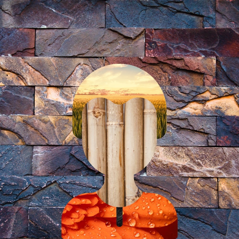 Collage of Myself #331 — Collage of Myself