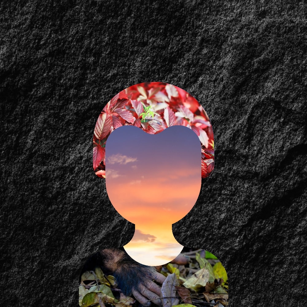 Collage of Myself #333 — Collage of Myself