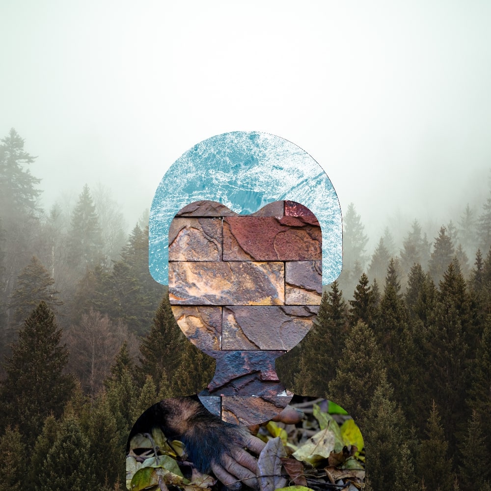 Collage of Myself #342 — Collage of Myself