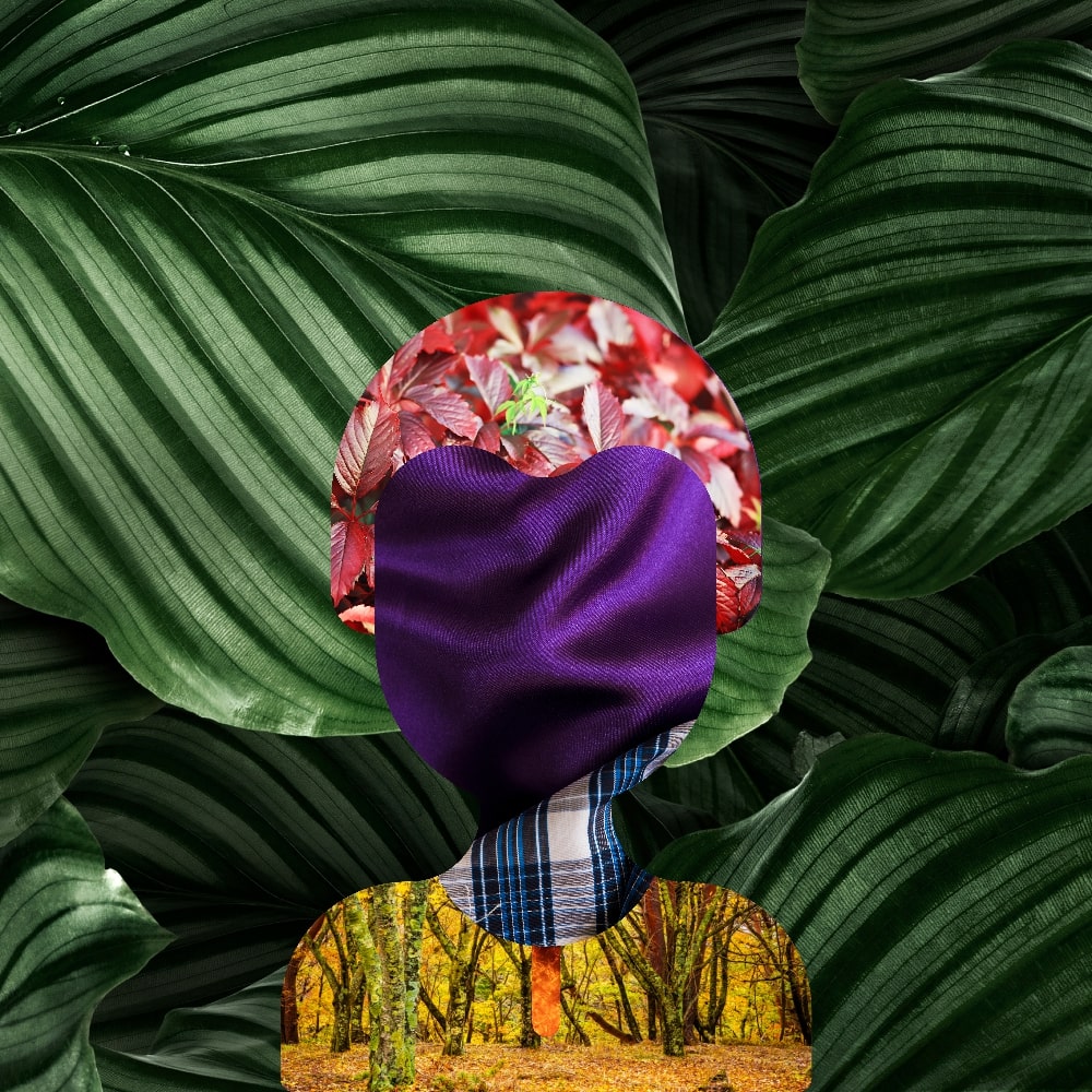 Collage of Myself #343 — Collage of Myself