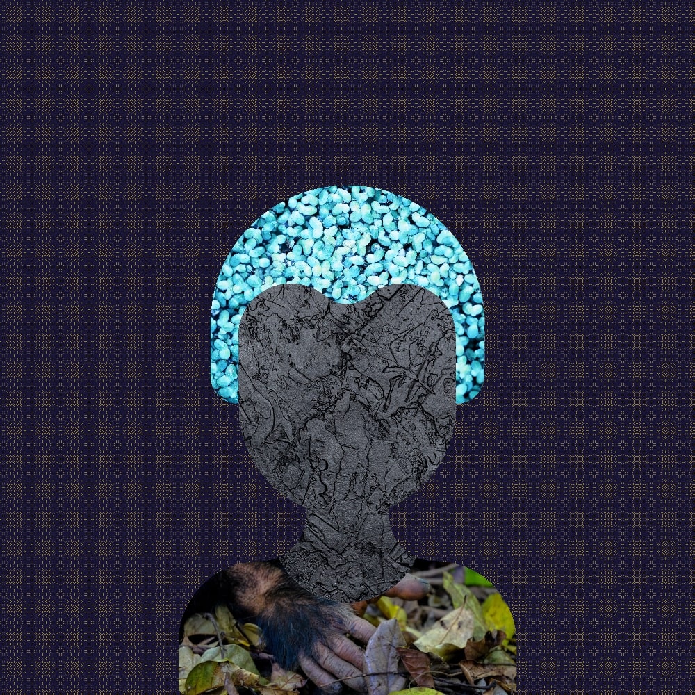 Collage of Myself #364 — Collage of Myself
