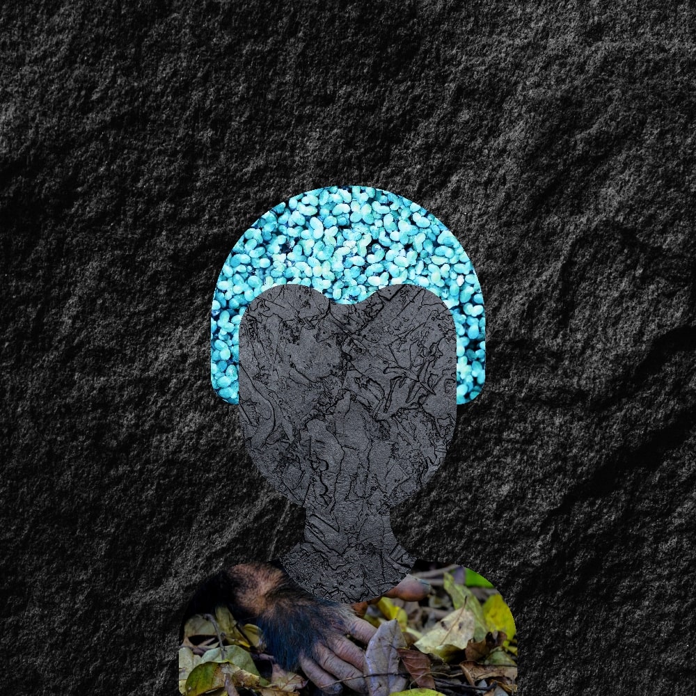 Collage of Myself #379 — Collage of Myself