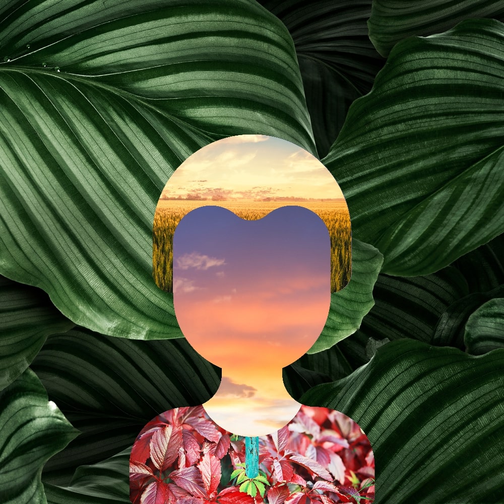 Collage of Myself #400 — Collage of Myself