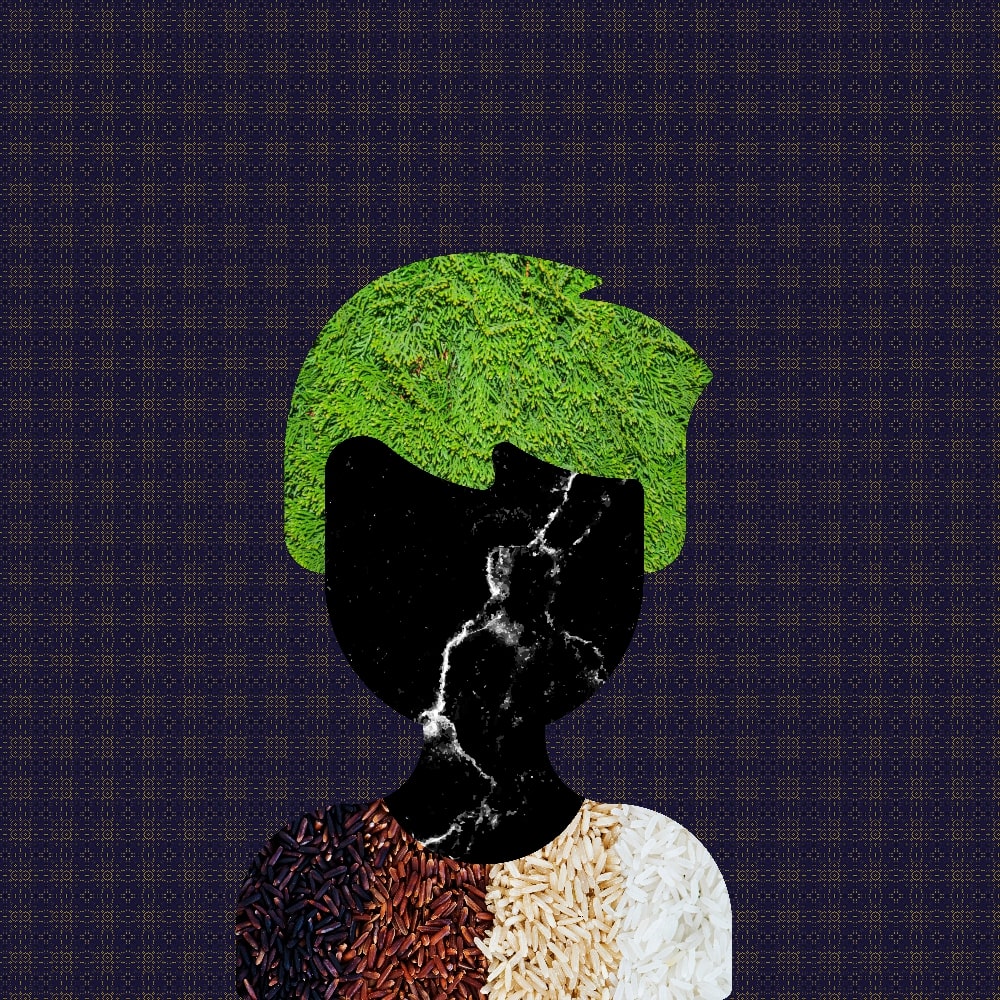 Collage of Myself #407 — Collage of Myself