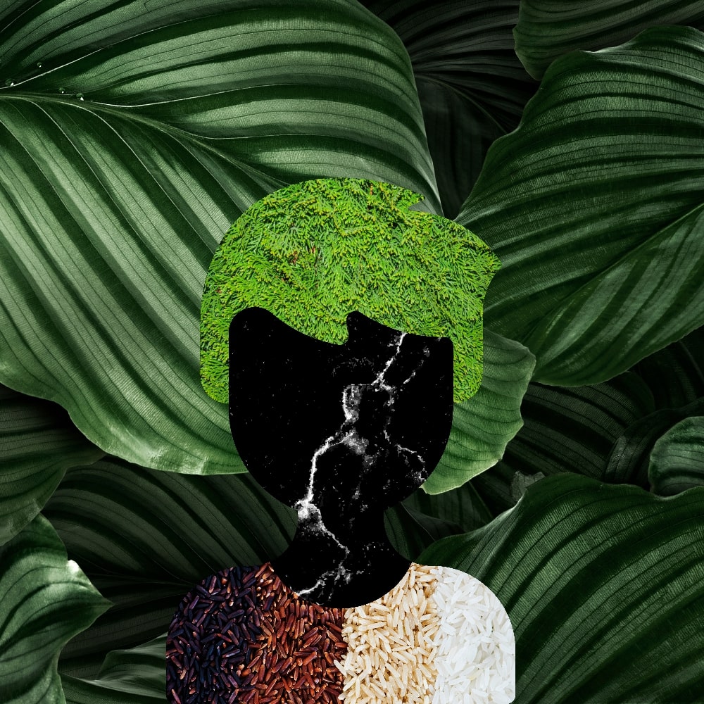 Collage of Myself #494 — Collage of Myself